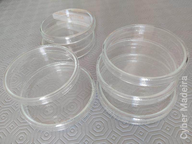 Caixas Vidro Petri 10cm
