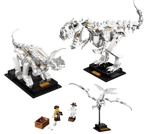 Fósseis de Dinossauros