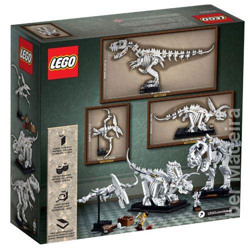 Fósseis de Dinossauros