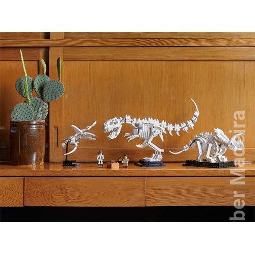Fósseis de Dinossauros