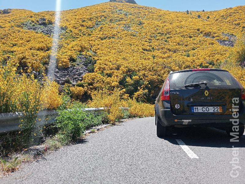 RENAULT MEGANE 744 Gasóleo