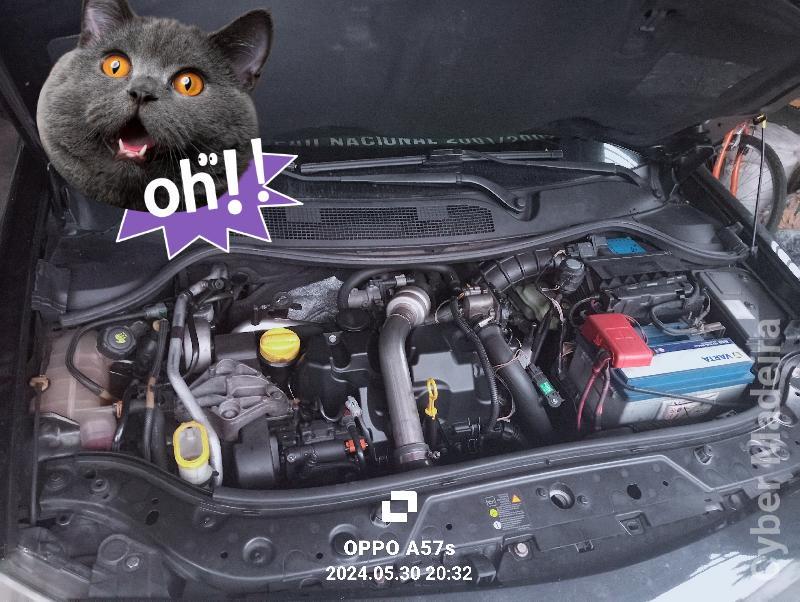 RENAULT MEGANE 744 Gasóleo