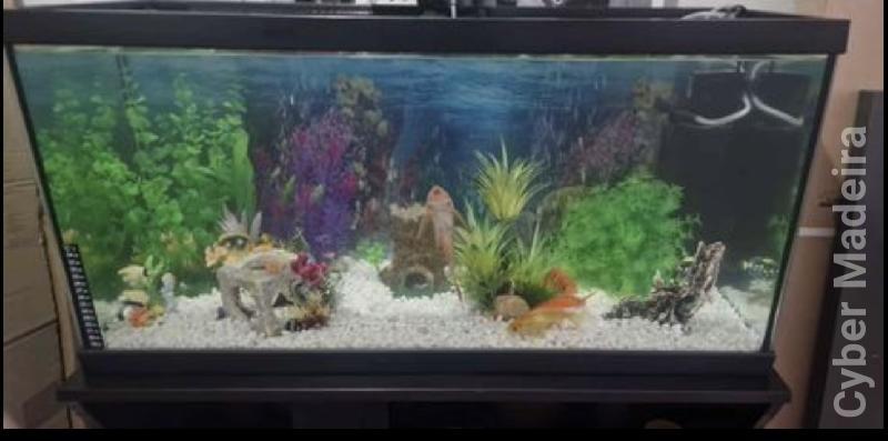 Aquário + Móvel+decoração 