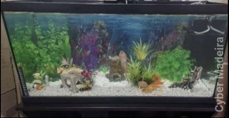 Aquário + Móvel+decoração 