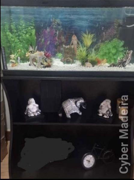 Aquário + Móvel+decoração 