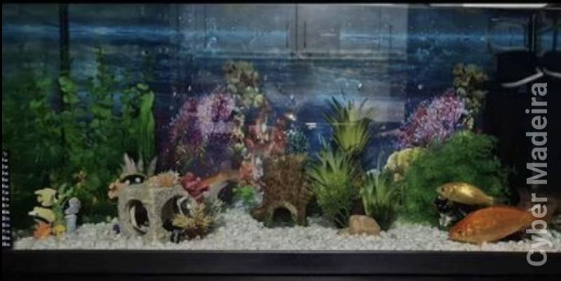 Aquário + Móvel+decoração 
