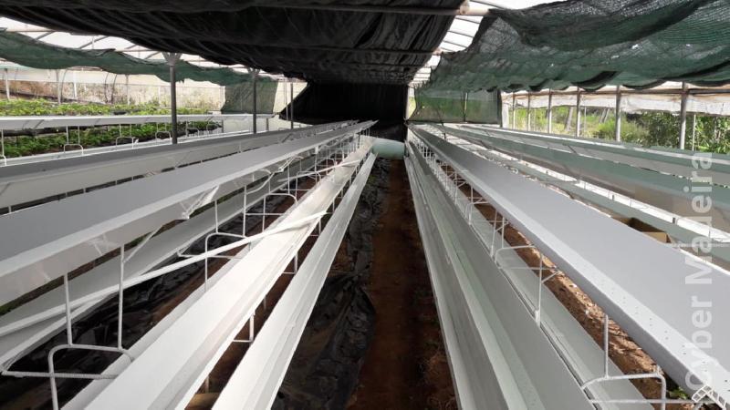 Canais PVC 