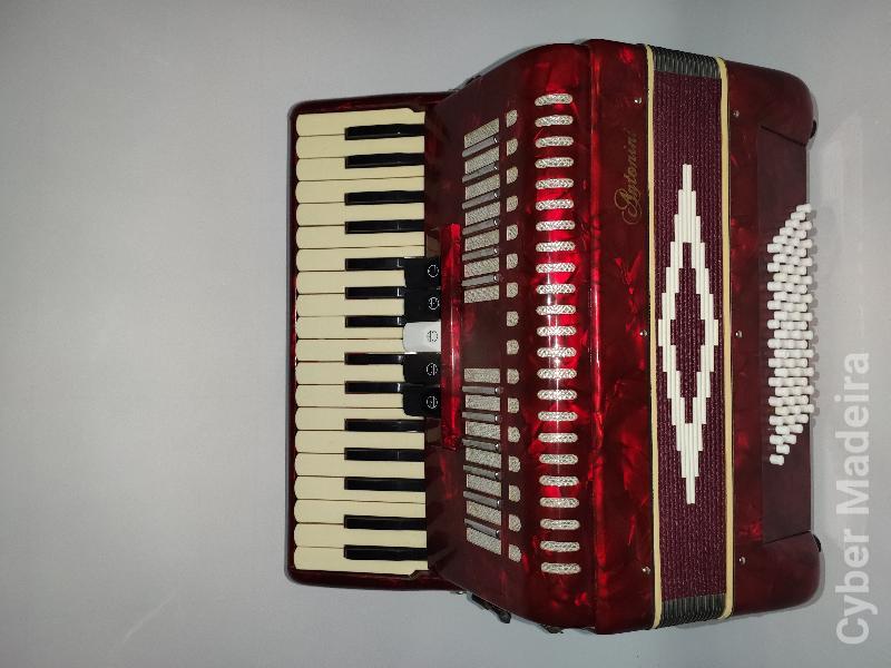 Acordeão Antonini 72 Baixos
