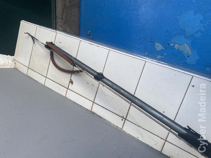 Arma de casa submarina picasso