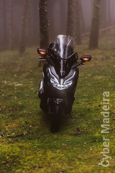 Honda 432 300 cc Scooter