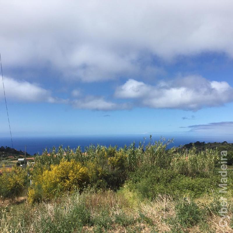 Terreno T0 para Venda Estreito da Calheta, Fazendinha