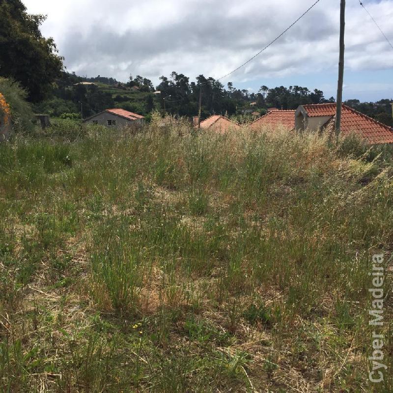 Terreno T0 para Venda Estreito da Calheta, Fazendinha