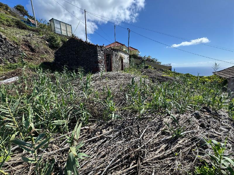 Terreno Outros para Venda Fajã da Ovelha, Massapez