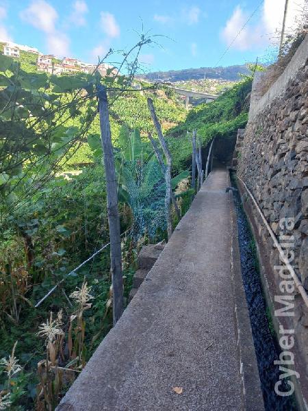 Terreno T1 para Venda Estreito de Câmara de Lobos, Vargem