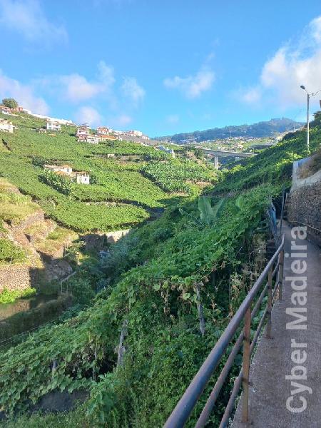 Terreno T1 para Venda Estreito de Câmara de Lobos, Vargem