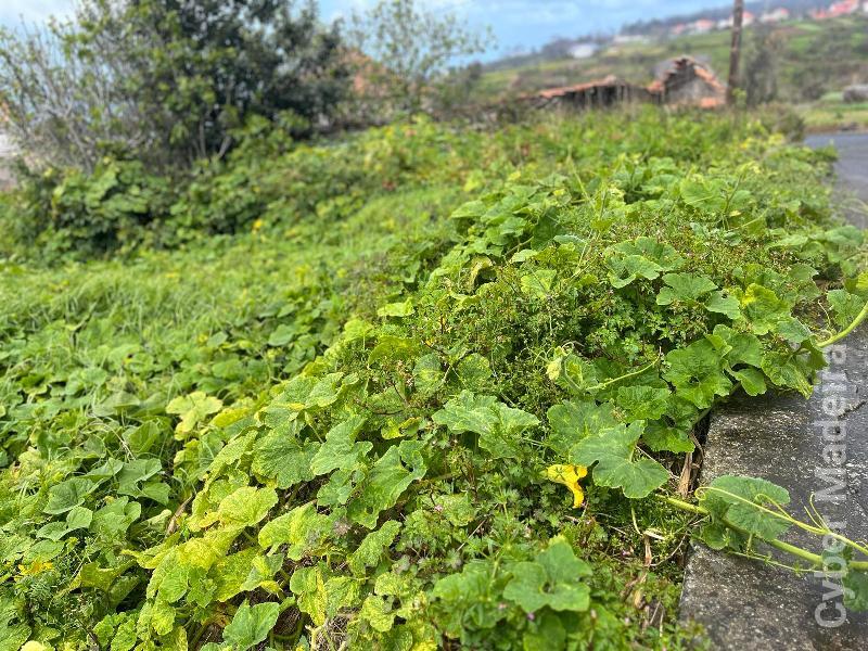 Moradia T3 para Venda Prazeres, Estacada