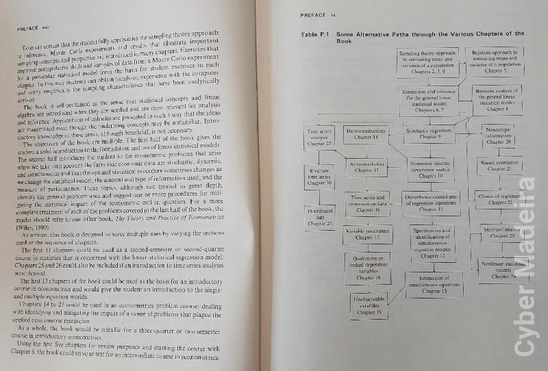 Introduction to the Theory and Practice of Econometrics