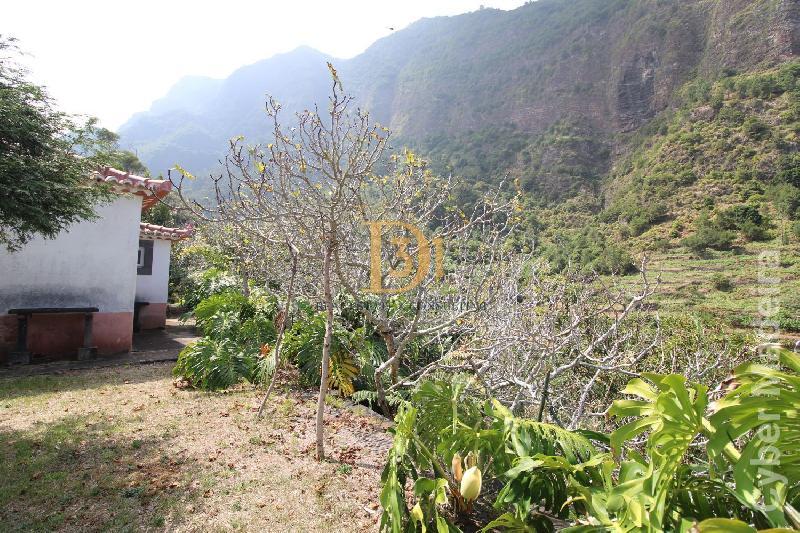 Herdade e Quinta T3 para Venda São Vicente, Centro