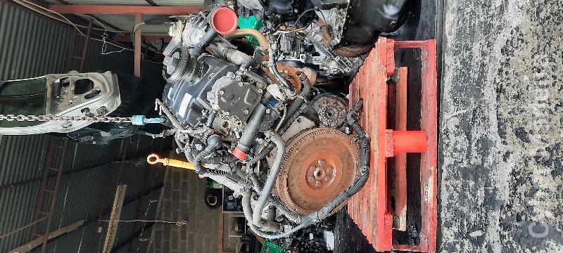 Motor Seat Ibiza 1.9 TDI  Motor Seat Ibiza 1.9 TDI  Gasóleo 100