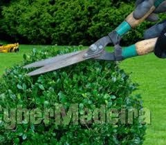 Jardins manutenção E limpeza