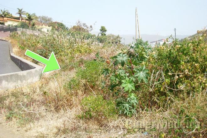 Terreno T7 ou Superior para Venda São Martinho, Arieiro