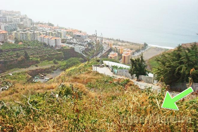 Terreno T7 ou Superior para Venda São Martinho, Arieiro