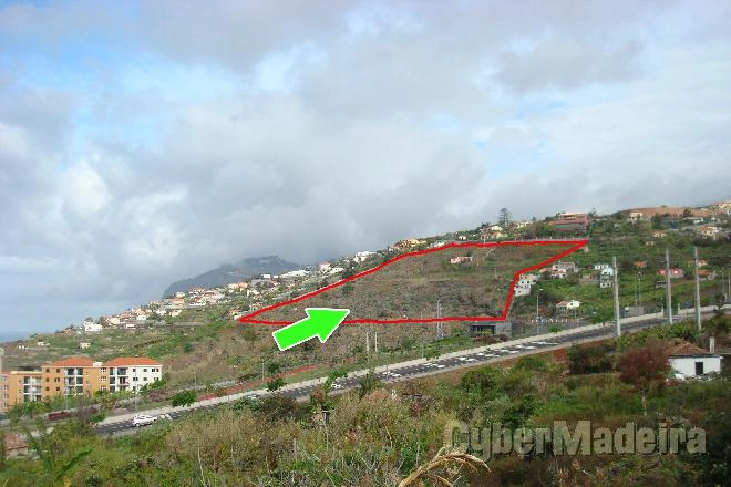 Terreno T7 ou Superior para Venda São Martinho, Arieiro