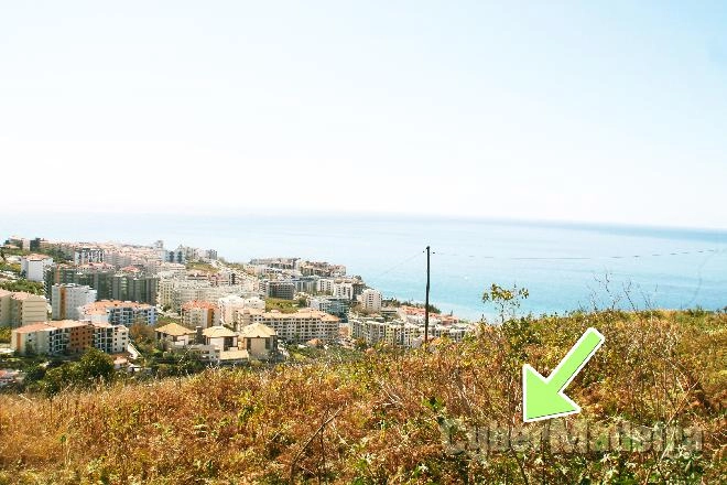 Terreno T7 ou Superior para Venda São Martinho, Arieiro