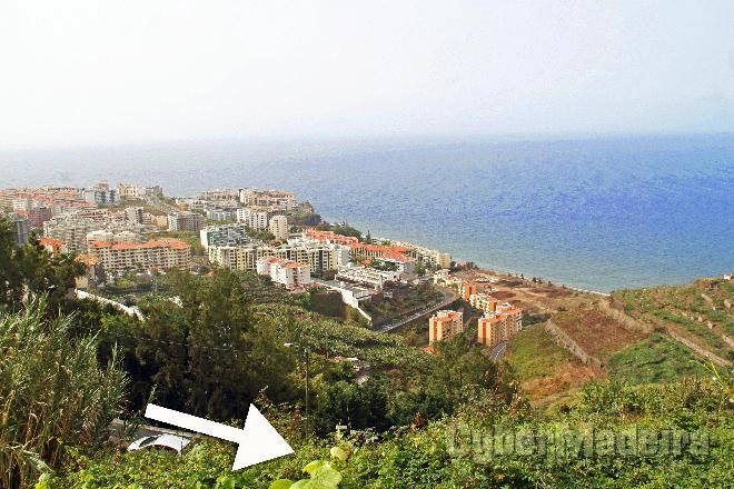 Terreno T7 ou Superior para Venda São Martinho, Arieiro