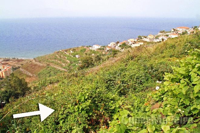 Terreno T7 ou Superior para Venda São Martinho, Arieiro