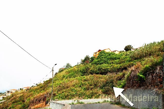 Terreno T7 ou Superior para Venda São Martinho, Arieiro