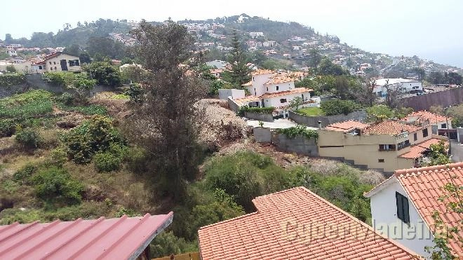 Terreno Outros para Venda São Gonçalo, Boa Nova