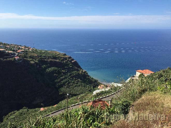 Moradia Outros para Venda Portugal, Ilha da Madeira, Ponta do Sol, Ponta do Sol, Jangão Lombada,  