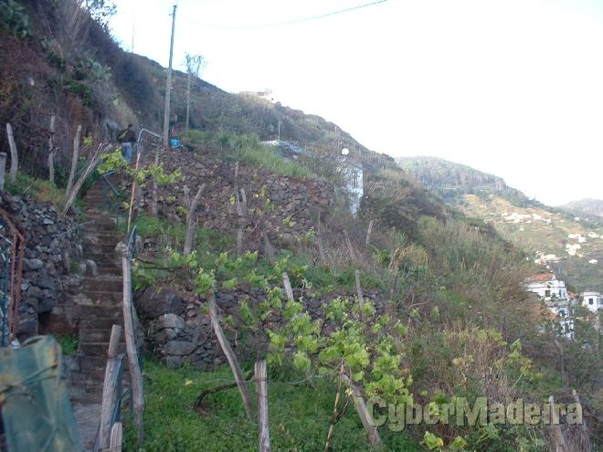 Herdade e Quinta Outros para Venda Portugal, Ilha da Madeira, Ribeira Brava, Campanário, Centro,  
