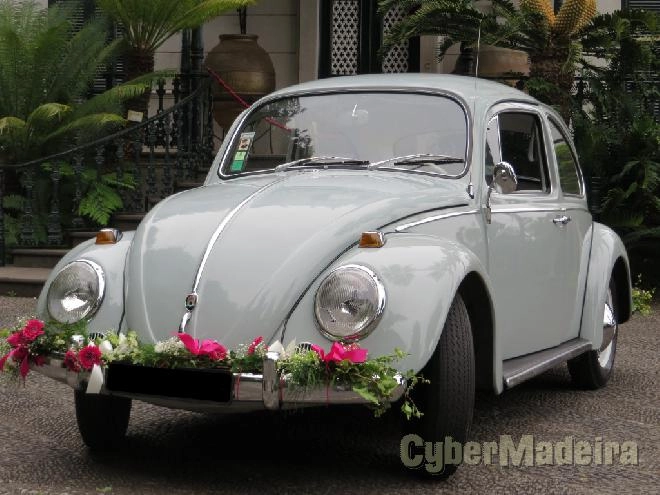 Aluguer de vw carocha com motorista