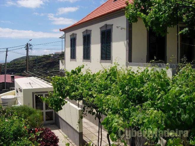 PrÃ©dio Outros para Arrendamento Portugal, Ilha da Madeira, Ribeira Brava, Ribeira Brava, São João,  