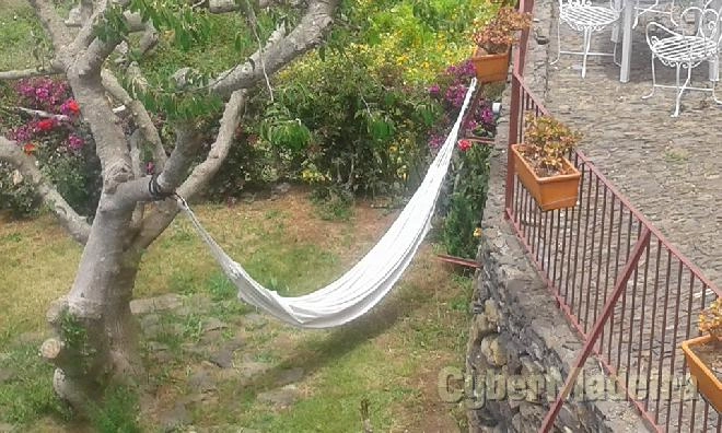 Prédio Outros para Arrendamento Fajã da Ovelha, Fajã da Ovelha