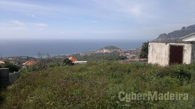 Terreno Outros para Arrendamento Santo António, Santa Quitéria