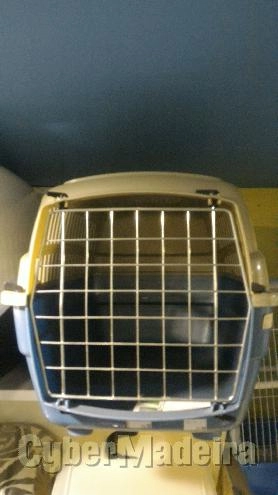 Transportadora para gatos E cães fop Outros