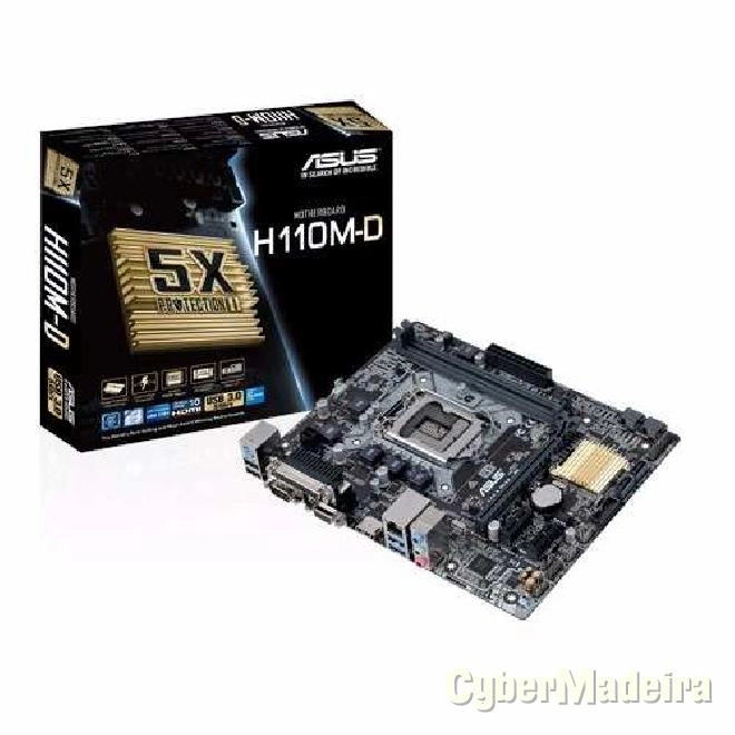 Asus H110M-D 