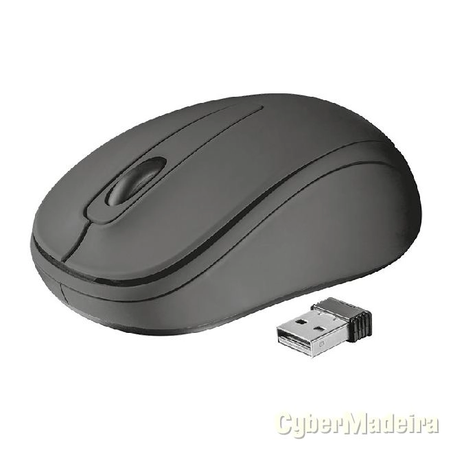 Trust ziva wireless usb ? 21509 