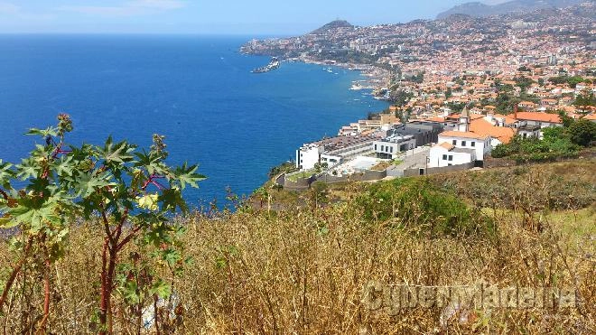 Terreno Outros para Venda Portugal, Ilha da Madeira, Funchal, São Gonçalo, Igreja,  
