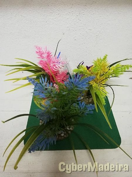PLANTAS  GRANDES C/ BASE RAZINA