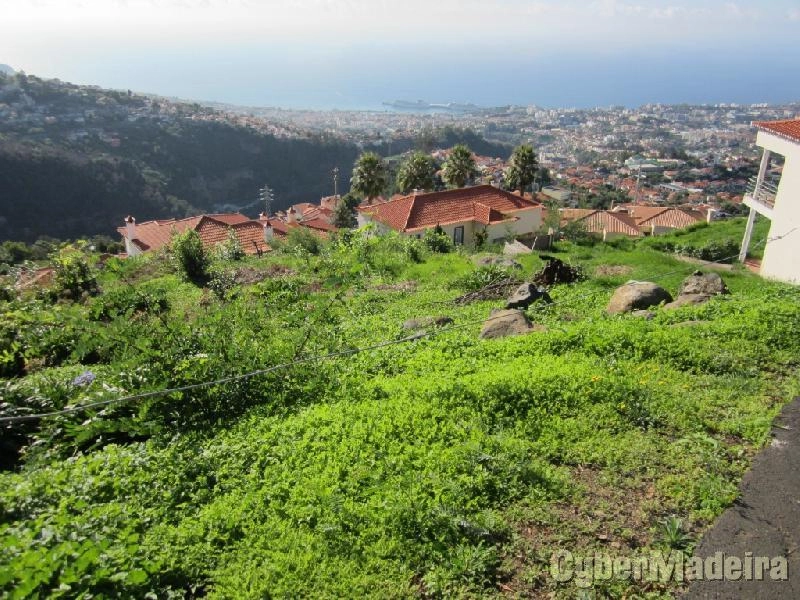 Terreno com vista sobre a baía do Funchal