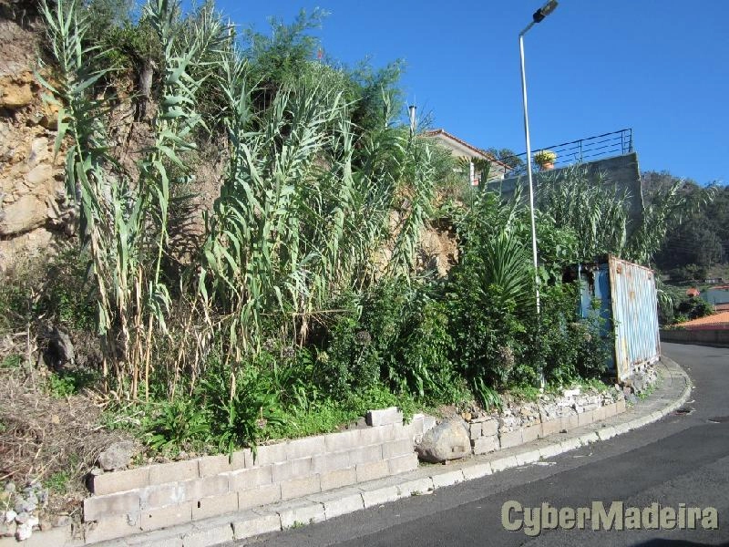 Terreno com vista sobre a baía do Funchal