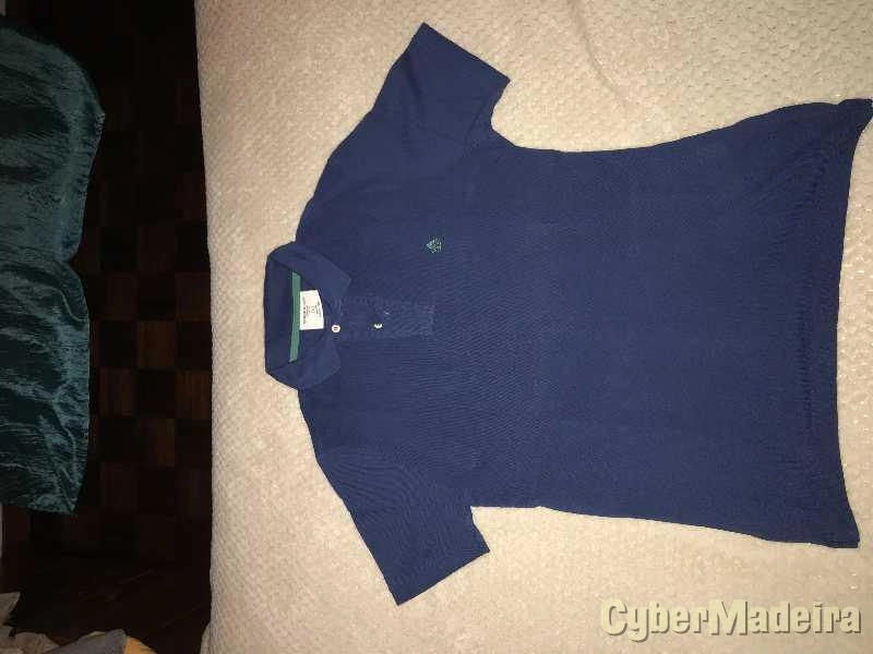Polos Piquet (Springfield; Tiffosi)