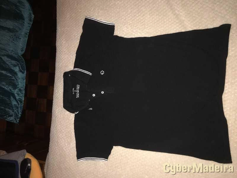 Polos Piquet (Springfield; Tiffosi)