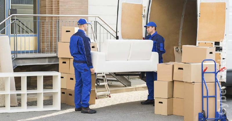 Transportes e Recolha de Monos