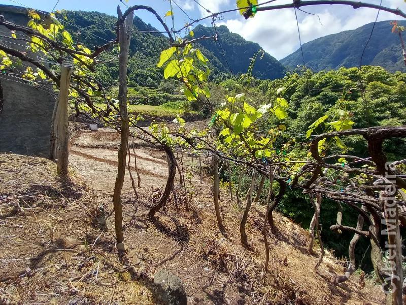 Terreno T3 para Venda 