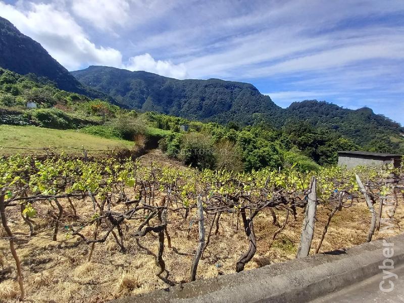 Terreno T3 para Venda 